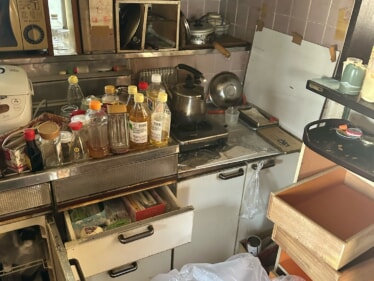 1_IMG_9595 1_IMG_9595