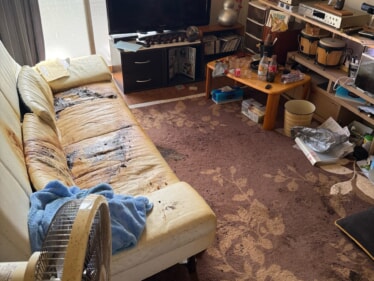 3_IMG_9871 3_IMG_9871